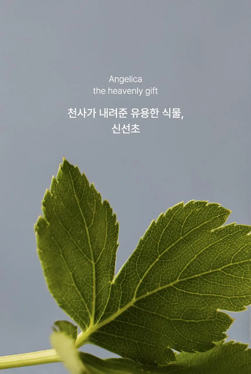 [레오제이 셀렉트스토어 선정] 라씨엘르 엔자임 신선초 파우더 워시 60g 상세페이지 21